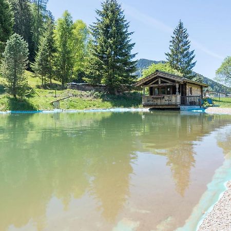 Villa Almliesl Holl-559 Hollersbach im Pinzgau Esterno foto